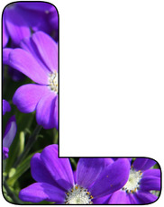 Deko-Buchstaben-Blumen_L.jpg